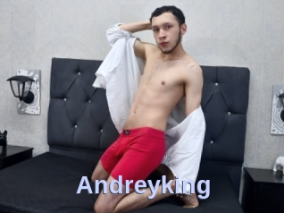 Andreyking