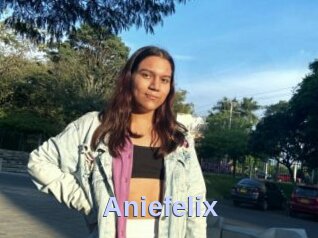 Aniefelix