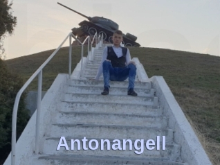 Antonangell