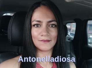 Antonelladiosa