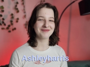 ashleyharris Big Sexy Titties