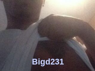 Bigd231
