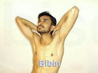 Bibin