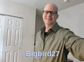 Bigbird27