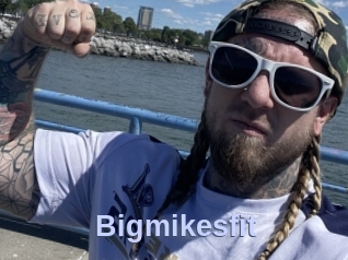 Bigmikesfit