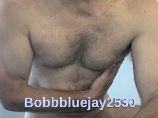 Bobbbluejay2530