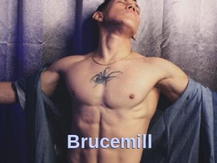 Brucemill