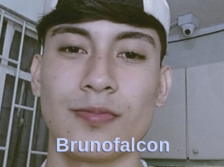 Brunofalcon