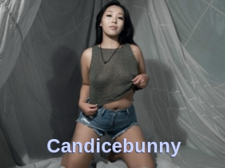 Candicebunny