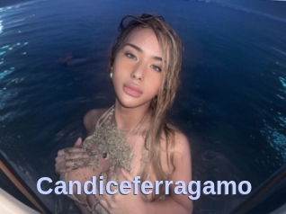 Candiceferragamo