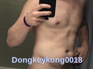 Dongkeykong0018