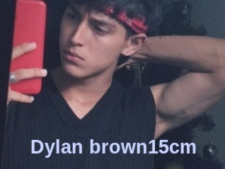 Dylan_brown15cm