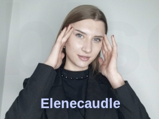 Elenecaudle