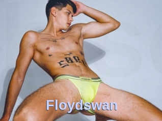 Floydswan