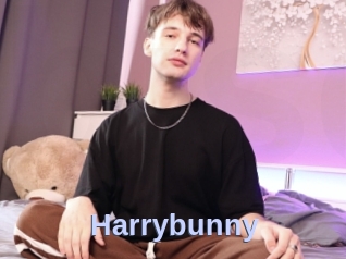 Harrybunny