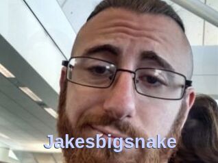 Jakesbigsnake