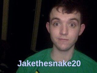 Jakethesnake20