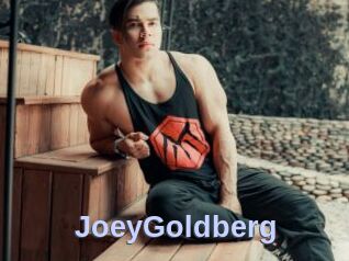 JoeyGoldberg