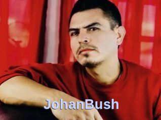 JohanBush