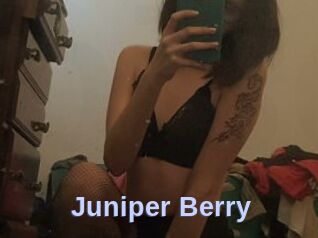 Juniper_Berry