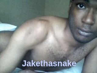 Jake_tha_snake