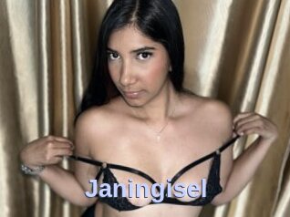 Janingisel