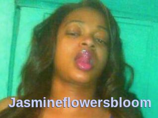 Jasmineflowersbloom