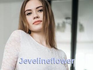 Jevelineflower