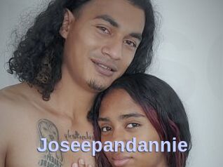 Joseepandannie