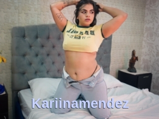 Kariinamendez