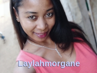 Laylahmorgane