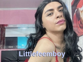 Littlefeemboy