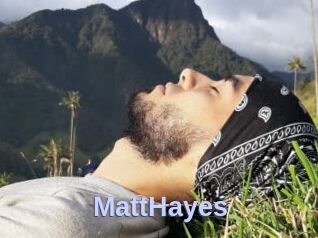 MattHayes