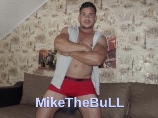 MikeTheBuLL