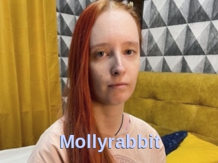 Mollyrabbit