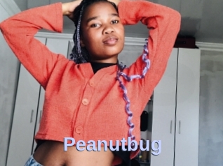 Peanutbug