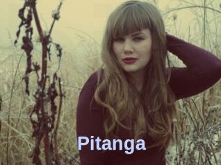 Pitanga