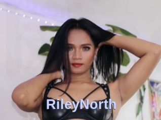 RileyNorth