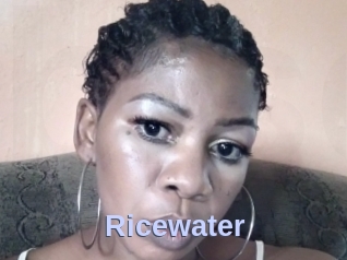 Ricewater