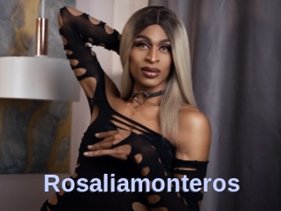 Rosaliamonteros