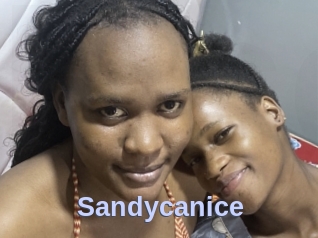 Sandycanice