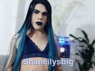 Shaneilysbig