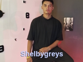 Shelbygreys