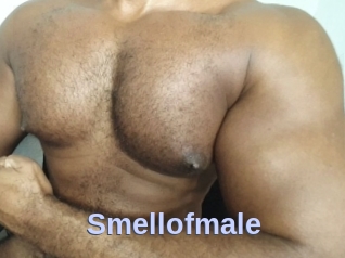 Smellofmale