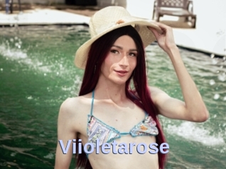 Viioletarose