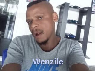 Wenzile Big Sexy Titties