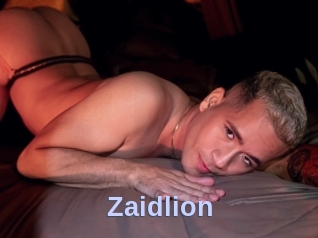 Zaidlion